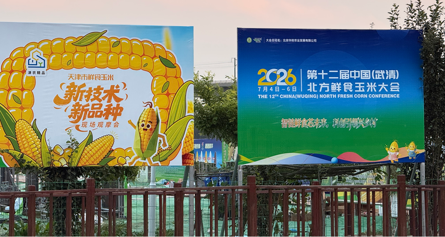 D7D94